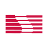 Saleen logo